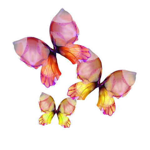 Floral Butterfly Trio Black Modern Wood Framed Art Print by Debs, Emma Catherine