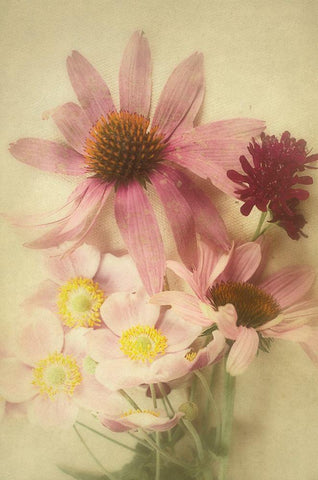 Late Summer Blooms 2 Black Ornate Wood Framed Art Print with Double Matting by Urquhart, Elizabeth