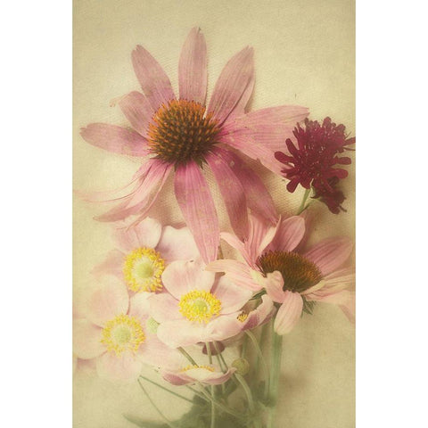Late Summer Blooms 2 Black Modern Wood Framed Art Print with Double Matting by Urquhart, Elizabeth