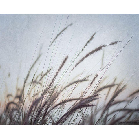 Misty Morning VI Gold Ornate Wood Framed Art Print with Double Matting by Urquhart, Elizabeth