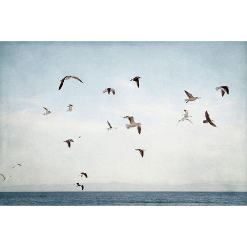 Soar I Black Modern Wood Framed Art Print with Double Matting by Urquhart, Elizabeth