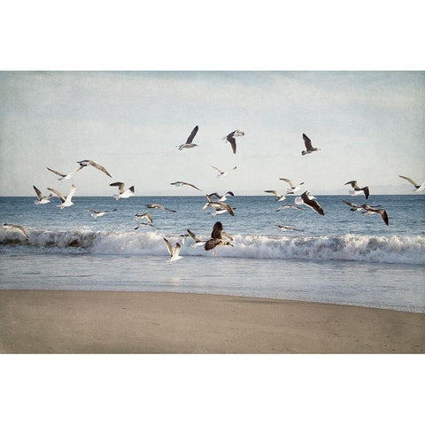 Soar II Black Modern Wood Framed Art Print with Double Matting by Urquhart, Elizabeth
