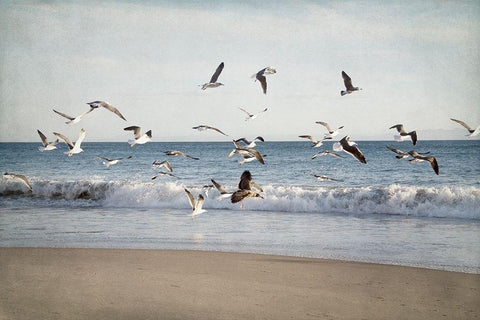 Soar II White Modern Wood Framed Art Print with Double Matting by Urquhart, Elizabeth