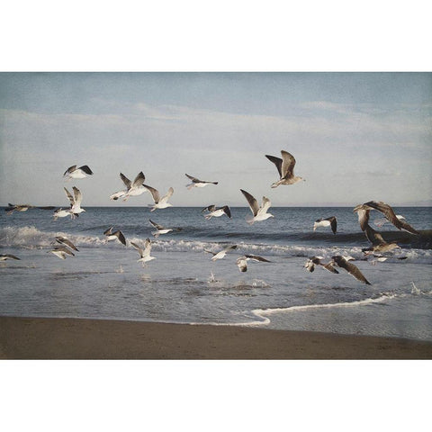 Soar IV Black Modern Wood Framed Art Print by Urquhart, Elizabeth