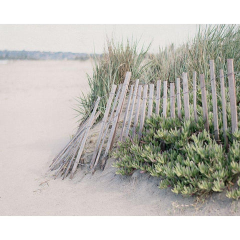 Steps To The Beach I Black Modern Wood Framed Art Print with Double Matting by Urquhart, Elizabeth