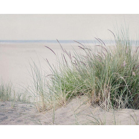 Steps To The Beach II White Modern Wood Framed Art Print by Urquhart, Elizabeth