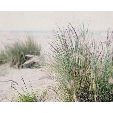 Steps To The Beach III Gold Ornate Wood Framed Art Print with Double Matting by Urquhart, Elizabeth