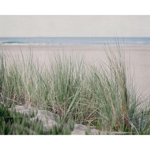 Steps To The Beach IV Gold Ornate Wood Framed Art Print with Double Matting by Urquhart, Elizabeth