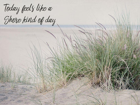Shore Feelings 2 White Modern Wood Framed Art Print with Double Matting by Urquhart, Elizabeth
