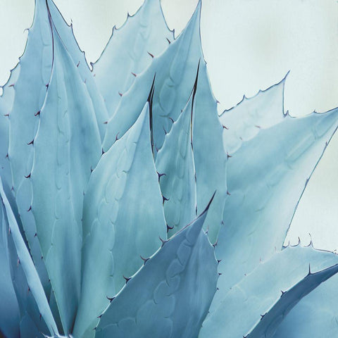 Green Crush V White Modern Wood Framed Art Print by Urquhart, Elizabeth