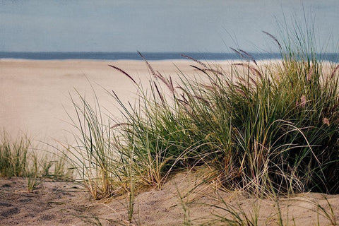 To The Beach II Black Ornate Wood Framed Art Print with Double Matting by Urquhart, Elizabeth