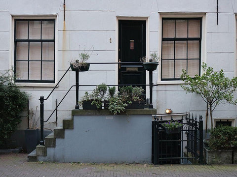 Door Plants Amsterdam Black Ornate Wood Framed Art Print with Double Matting by Frances, Stephanie