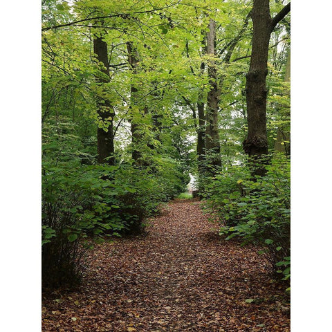 Wood 3 White Modern Wood Framed Art Print by Frances, Stephanie