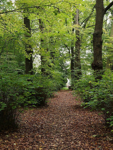 Wood 3 Black Ornate Wood Framed Art Print with Double Matting by Frances, Stephanie