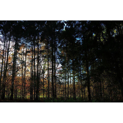 Over There 2 Black Modern Wood Framed Art Print by Frances, Stephanie