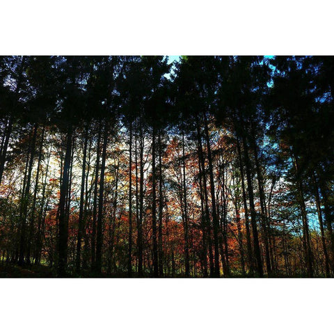 Over There 2 Black Modern Wood Framed Art Print with Double Matting by Frances, Stephanie