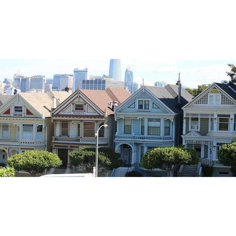 Painted Ladies 1 White Modern Wood Framed Art Print by Frances, Stephanie