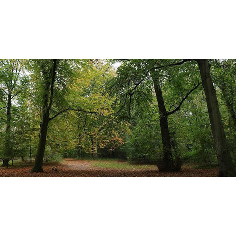 Woods Wanderer 1 Gold Ornate Wood Framed Art Print with Double Matting by Frances, Stephanie