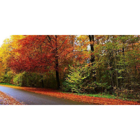 Woods Wanderer 2 White Modern Wood Framed Art Print by Frances, Stephanie