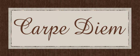 Carpe Diem White Modern Wood Framed Art Print with Double Matting by Gibbons, Lauren