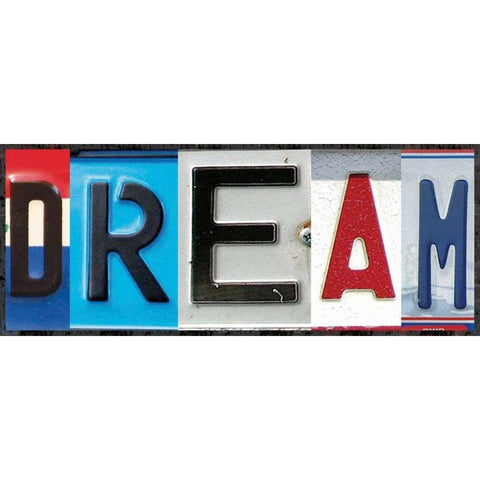 Dream License Black Modern Wood Framed Art Print with Double Matting by Gibbons, Lauren