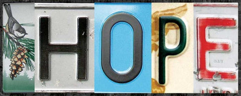 Hope License White Modern Wood Framed Art Print with Double Matting by Gibbons, Lauren