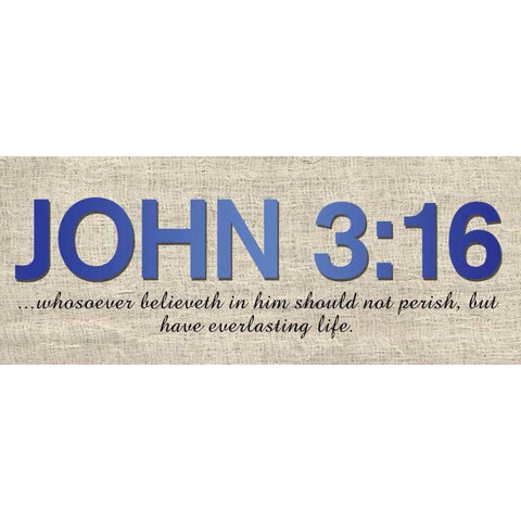 John 316 White Modern Wood Framed Art Print by Gibbons, Lauren