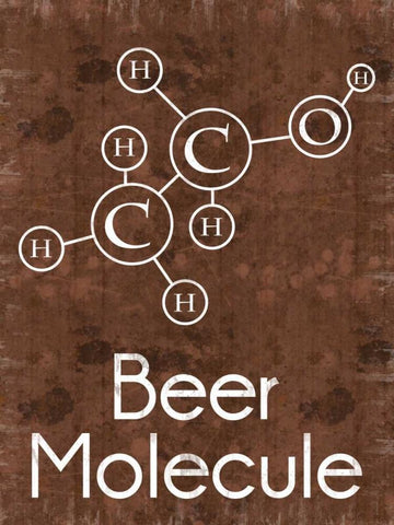 Beer Molecule Rect Brown White Modern Wood Framed Art Print with Double Matting by Gibbons, Lauren