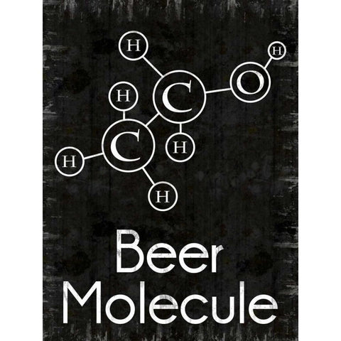 Beer Molecule Rect Black Modern Wood Framed Art Print with Double Matting by Gibbons, Lauren