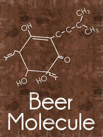 Beer Molecule 2 Rect Brown Black Ornate Wood Framed Art Print with Double Matting by Gibbons, Lauren