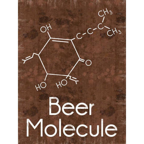 Beer Molecule 2 Rect Brown Gold Ornate Wood Framed Art Print with Double Matting by Gibbons, Lauren