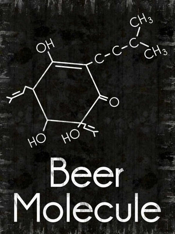 Beer Molecule 2 Rect Black Ornate Wood Framed Art Print with Double Matting by Gibbons, Lauren