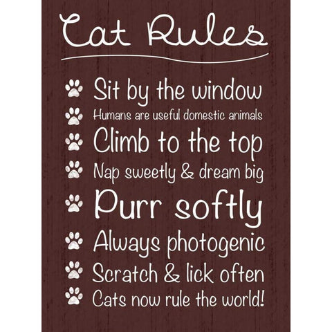 Cat Rules Black Modern Wood Framed Art Print with Double Matting by Gibbons, Lauren