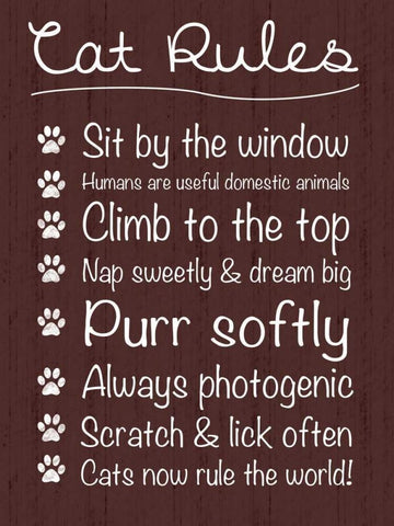 Cat Rules White Modern Wood Framed Art Print with Double Matting by Gibbons, Lauren