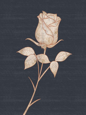 Flower 1 Black Ornate Wood Framed Art Print with Double Matting by Gibbons, Lauren