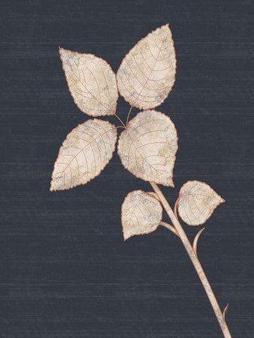 Flower 2 White Modern Wood Framed Art Print with Double Matting by Gibbons, Lauren