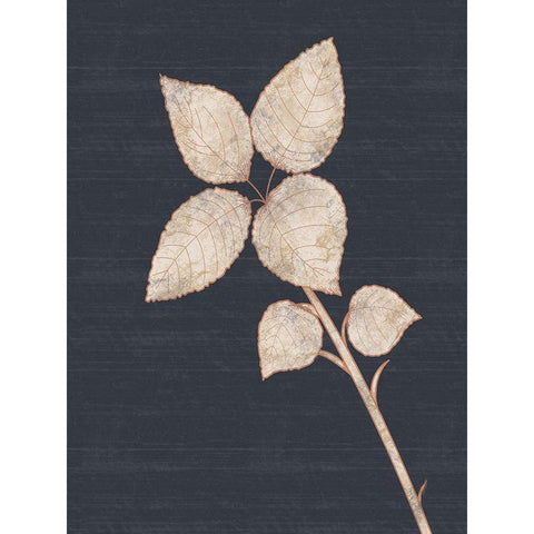 Flower 2 White Modern Wood Framed Art Print by Gibbons, Lauren