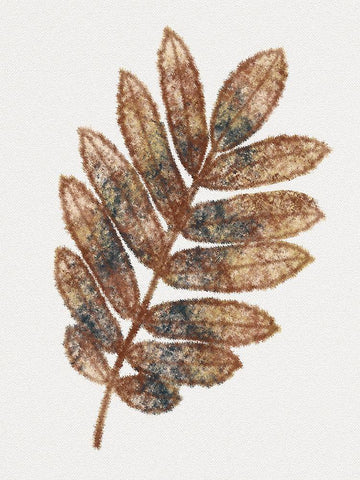 Watercolor Leaf 3 Black Ornate Wood Framed Art Print with Double Matting by Gibbons, Lauren