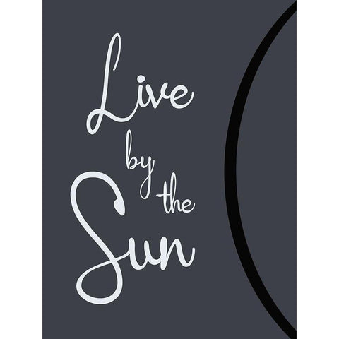 Sun Living Black Modern Wood Framed Art Print by Gibbons, Lauren