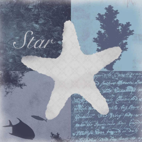 Beach Star White Modern Wood Framed Art Print with Double Matting by Gibbons, Lauren
