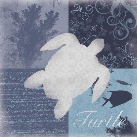 Beach Turtle Black Modern Wood Framed Art Print by Gibbons, Lauren