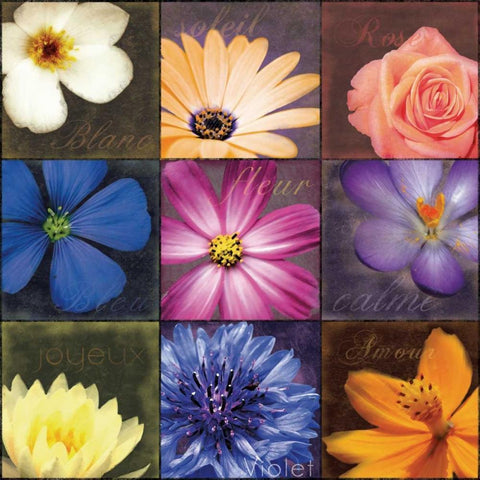 Flower Patch Gold Ornate Wood Framed Art Print with Double Matting by Gibbons, Lauren
