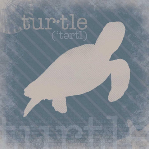 Turtle Definition Black Modern Wood Framed Art Print with Double Matting by Gibbons, Lauren