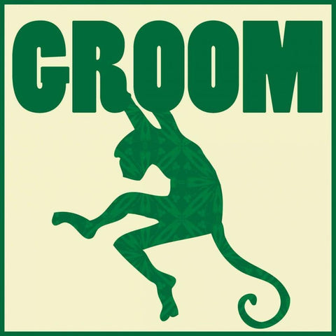 Monkey Groom White Modern Wood Framed Art Print by Gibbons, Lauren