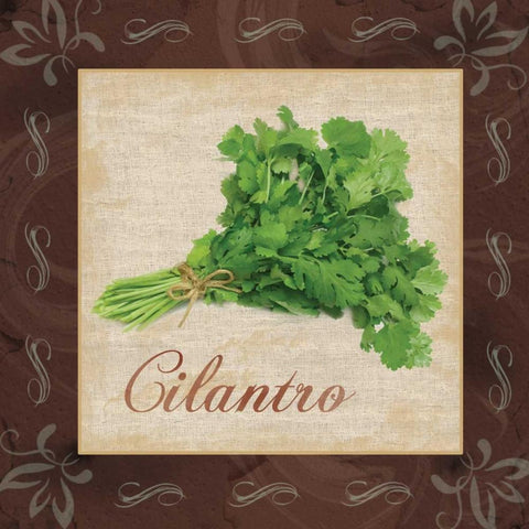 Cilantro White Modern Wood Framed Art Print with Double Matting by Gibbons, Lauren