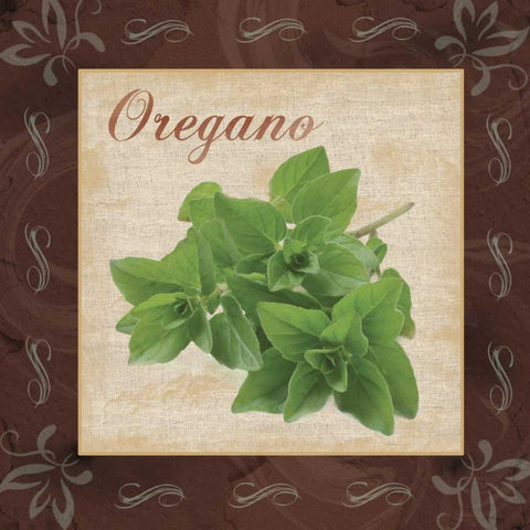 Oregano White Modern Wood Framed Art Print with Double Matting by Gibbons, Lauren