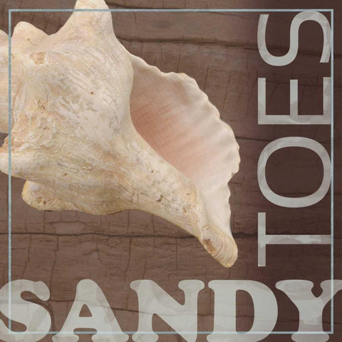 Sandy Toes Black Modern Wood Framed Art Print by Gibbons, Lauren