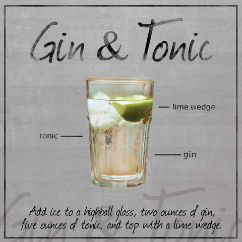 Gin Tonic Black Modern Wood Framed Art Print with Double Matting by Gibbons, Lauren