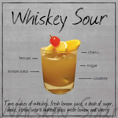 Whiskey Sour White Modern Wood Framed Art Print with Double Matting by Gibbons, Lauren