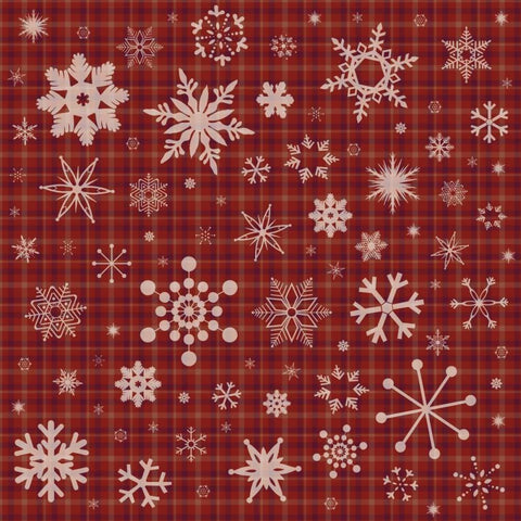 Snow Flake 2 Gold Ornate Wood Framed Art Print with Double Matting by Gibbons, Lauren